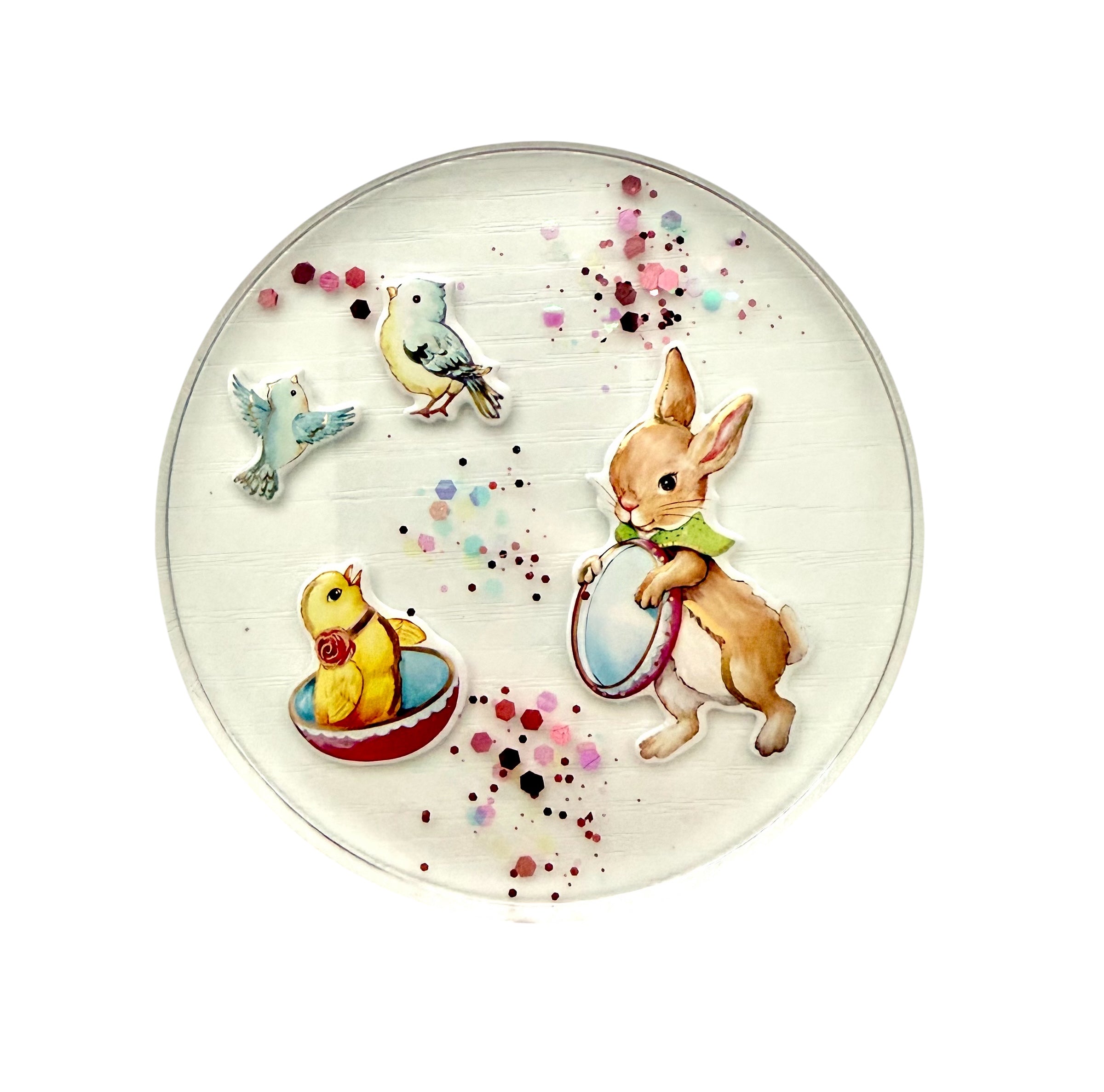 Easter Rabbit Family Coasters